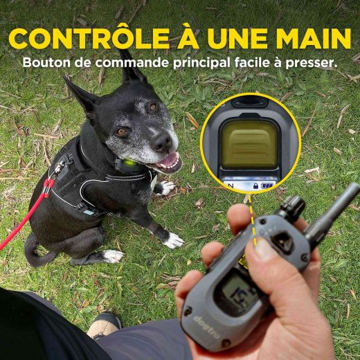 DOGTRA Ferntrainer 640X | 1 Hund