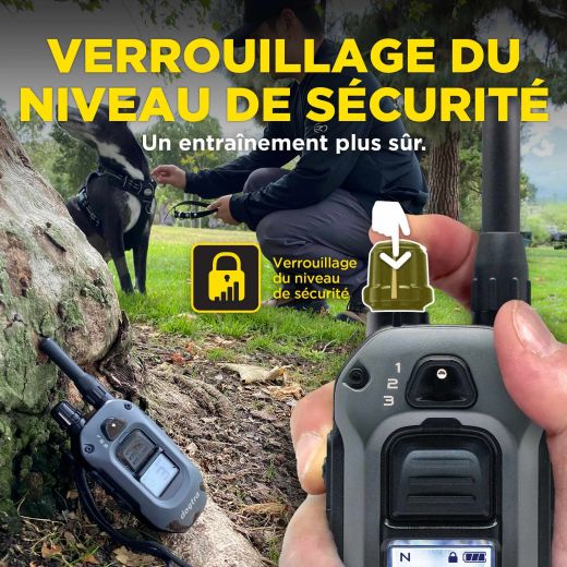 DOGTRA Ferntrainer 640X | 1 Hund