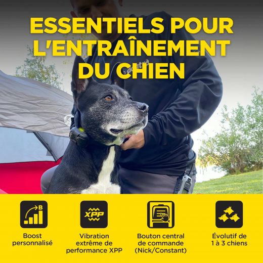 DOGTRA Ferntrainer 640X | 1 Hund