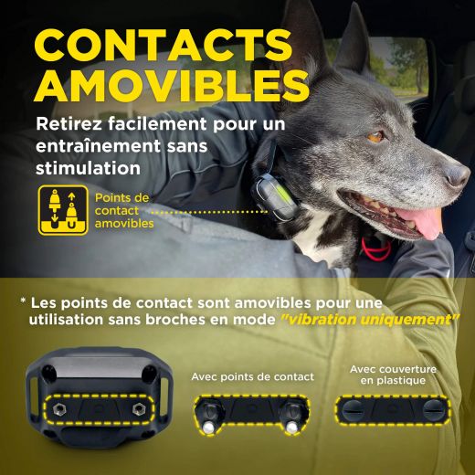 DOGTRA Ferntrainer 640X | 1 Hund