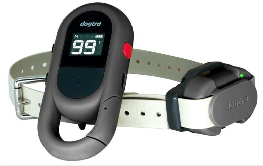 DOGTRA Ferntrainer iQ FLEX