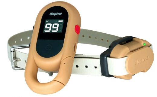 DOGTRA Ferntrainer iQ FLEX