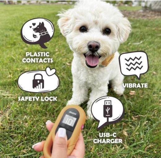 DOGTRA Ferntrainer iQ FLEX