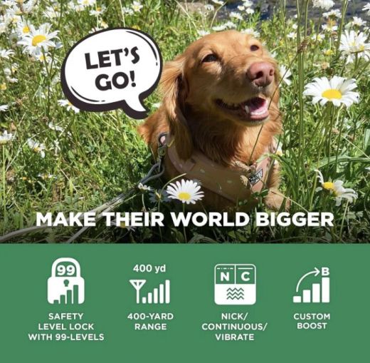 DOGTRA Ferntrainer iQ FLEX