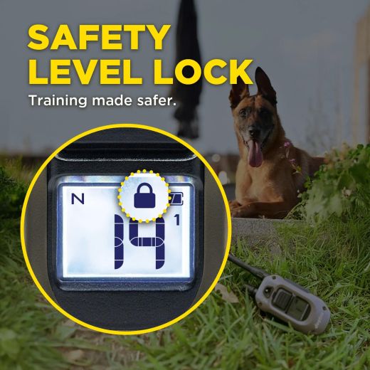 DOGTRA Ferntrainer ARC-X | 1 Hund