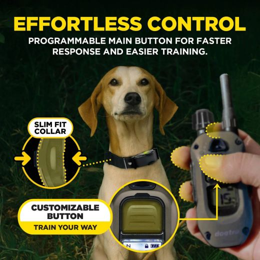 DOGTRA Ferntrainer ARC-X | 2 Hunde