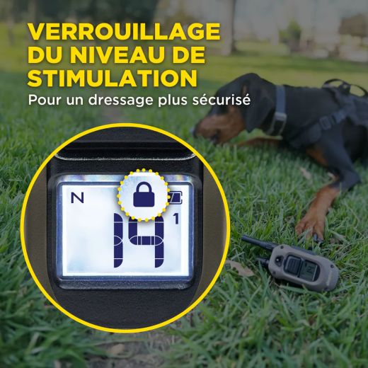 DOGTRA Ferntrainer 1200X | 1 Hund