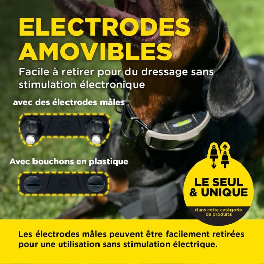 DOGTRA Ferntrainer 1200X | 1 Hund