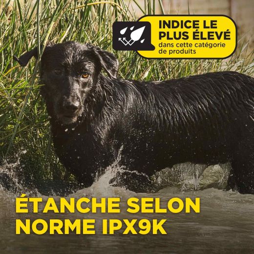 DOGTRA Ferntrainer 1200X | 2 Hunde