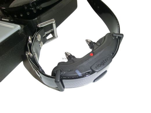 DOGTRA Ferntrainer ARC800 (ein Hund)