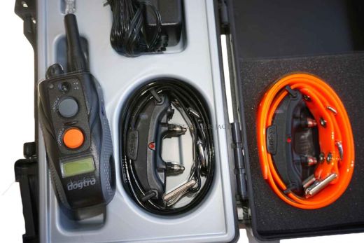 DOGTRA Ferntrainer ARC802 (zwei Hunde)