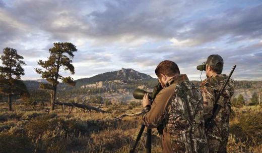 SWAROVSKI BTX Okularmodul