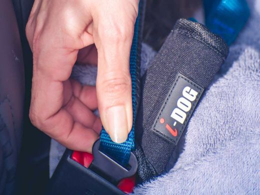 I-DOG Leine SECURITY CAR 100cm