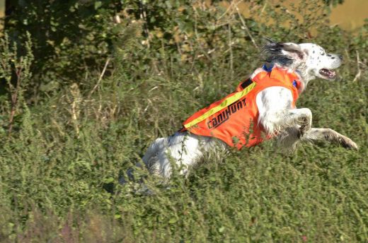 CANIHUNT Signalweste FLASH V2