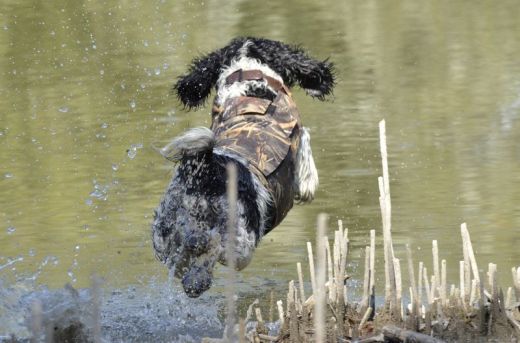 CANIHUNT Lockjagdweste NEOPRO V2