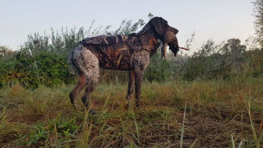 CANIHUNT Lockjagdweste NEOPRO V2