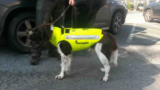 BROWNING Hundeschutzweste PROTECT PRO - Gelb