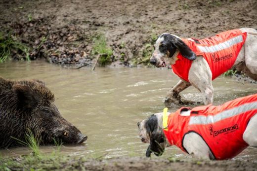BROWNING Hundeschutzweste PROTECT PRO - Orange