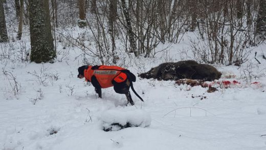 BROWNING Zus�tzlicher Keulenschutz