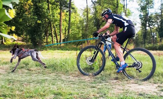 I-DOG Zugleine ALM OPALE 190cm