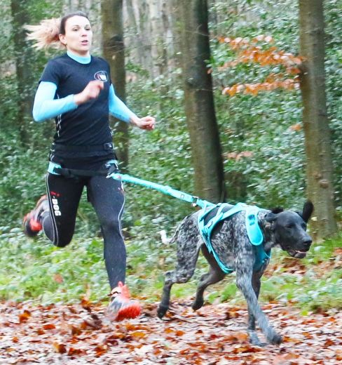 I-Dog Geschirr ALM Phoenix