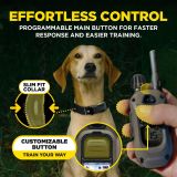 DOGTRA Ferntrainer ARC-X | 1 Hund