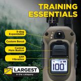 DOGTRA Ferntrainer ARC-X | 1 Hund