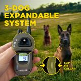 DOGTRA Ferntrainer ARC-X | 2 Hunde