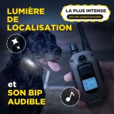 DOGTRA Ferntrainer 1200X | 2 Hunde