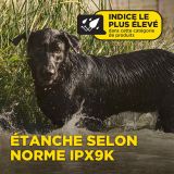 DOGTRA Ferntrainer 1200X | 2 Hunde