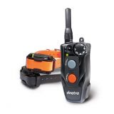DOGTRA Ferntrainer 612C (2 Hunde)