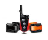 DOGTRA iQ Plus Duo Hundetrainer (2 Hunde)