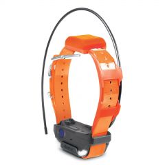 DOGTRA Zusatz-Halsband | Pathfinder 2 TRX