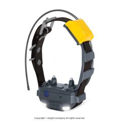 DOGTRA Zusatz-Halsband | Pathfinder 2 MINI