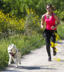 I-DOG CANICROSS Traktionsleine STYLE