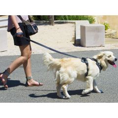 I-DOG CANICROSS Traktionsleine STYLE