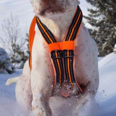 I-DOG Geschirr CANICROSS X-Back ONE
