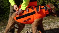 CANIHUNT Hundeschutzweste PROTECT DOG ARMOR V2