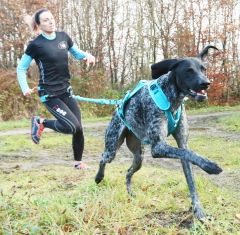 I-DOG Zugleine ALM OPALE 190cm